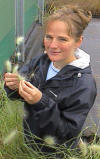 Hayley Merrison collecting seed from Pennisetum villosum